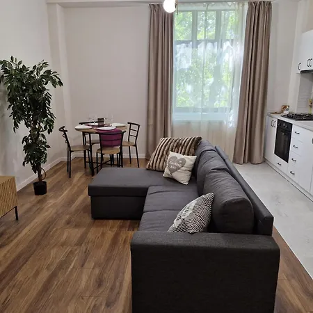Apartment Centro 2